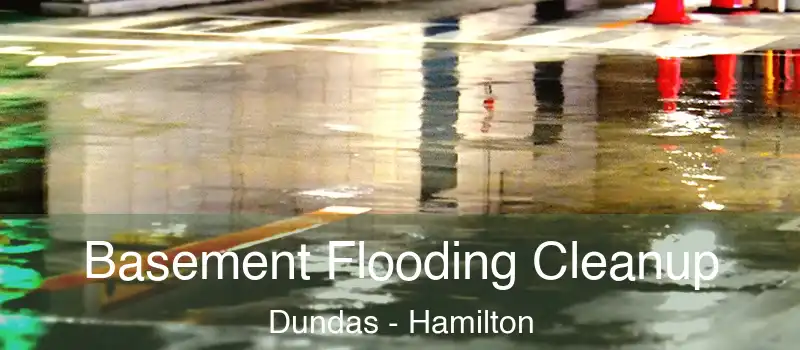  Basement Flooding Cleanup Dundas - Hamilton