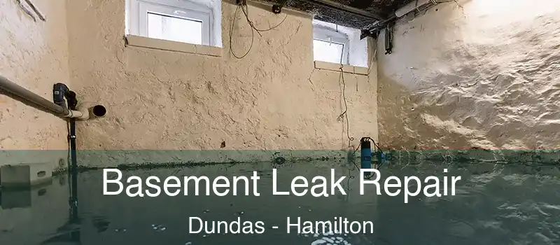  Basement Leak Repair Dundas - Hamilton