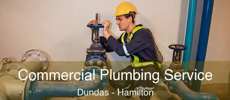  Commercial Plumbing Service Dundas - Hamilton