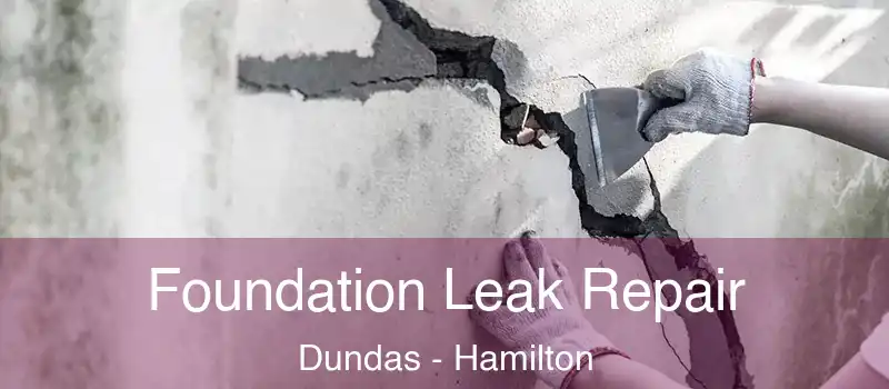  Foundation Leak Repair Dundas - Hamilton