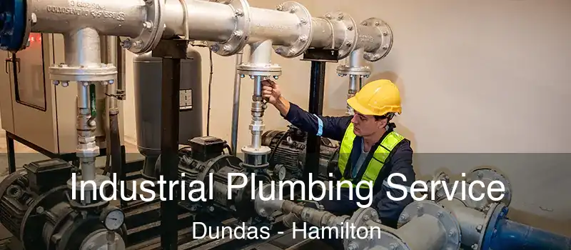  Industrial Plumbing Service Dundas - Hamilton