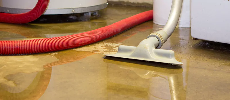 Professional Sewer Backup Cleanup Services in Dundas, Hamilton