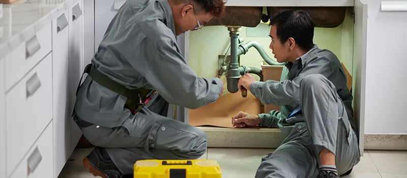 Commercial Bonded and Insured Plumber Services in Dundas, Hamilton