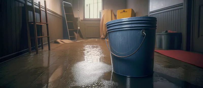 Flooded Basement Restoration Assistance in Dundas, Hamilton