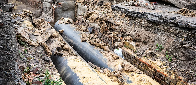 Commercial Sewer Tree Roots Damage Solutions in Dundas, Hamilton