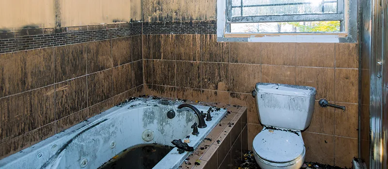 Residential Water Damage Restoration in Dundas, Hamilton