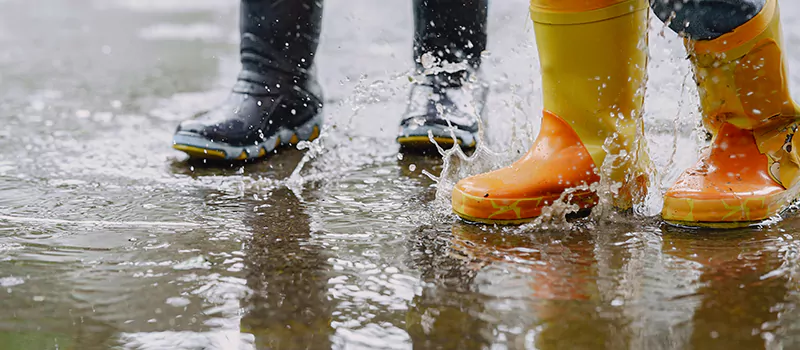 Emergency Flood Recovery Plumbing Services in Dundas, Hamilton