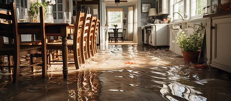 Flooded House Help Near Me in Dundas, Hamilton