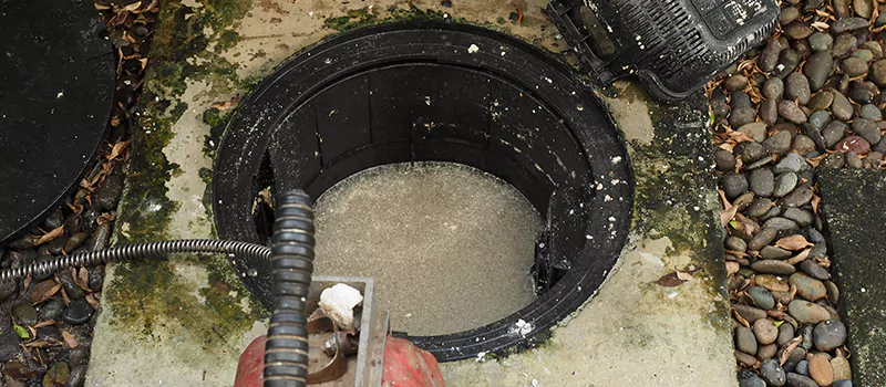 Hydro Jetting For Root Removal in Dundas, Hamilton