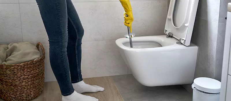 Toilet Flush Valve Installation Services in Dundas, Hamilton