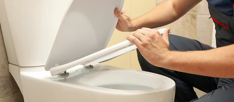 Damaged Toilet Parts Replacement Services in Dundas, Hamilton
