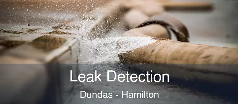  Leak Detection Dundas - Hamilton
