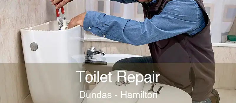  Toilet Repair Dundas - Hamilton