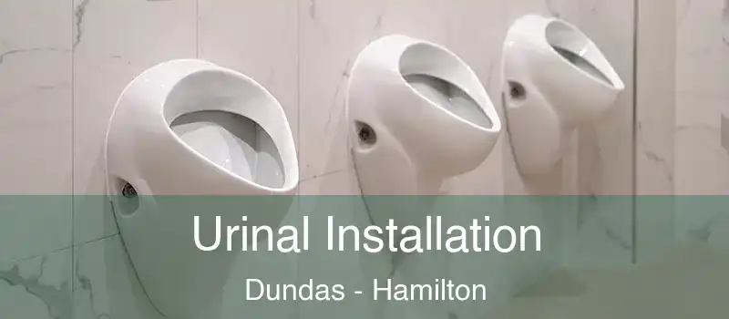  Urinal Installation Dundas - Hamilton