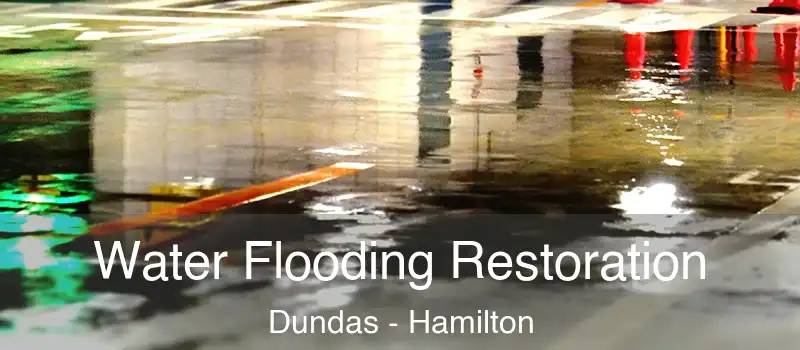  Water Flooding Restoration Dundas - Hamilton