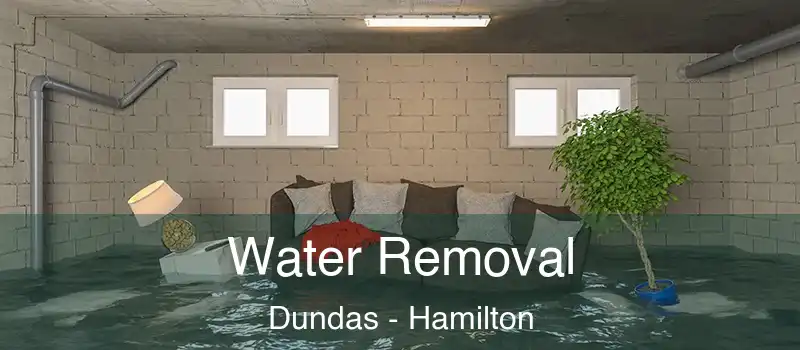  Water Removal Dundas - Hamilton